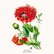 pg_pgp-35473_08.jpg