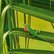 pg_pgp-35500-v_03.jpg