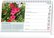 pg_pgs-35327_kal.jpg